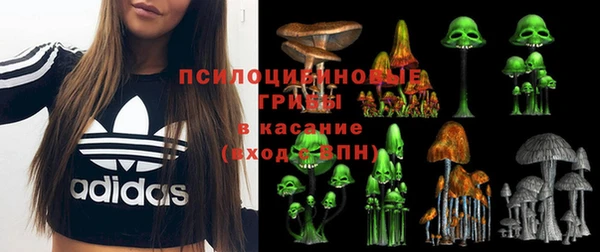 хмурый Баксан
